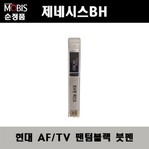 순정품 현대 제네시스BH AF TV 팬텀블랙 붓펜 자동차 도색 차량용 카페인트, 1개