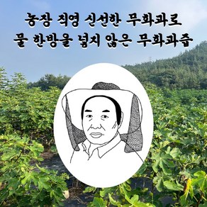 [육교농장] 영암 무화과즙 첨가물 없이 무화과 100%, 50개, 100ml