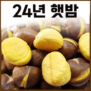 명품약단밤 24년 햇 약단밤 칼집약단밤 1kg [구워먹는밤]