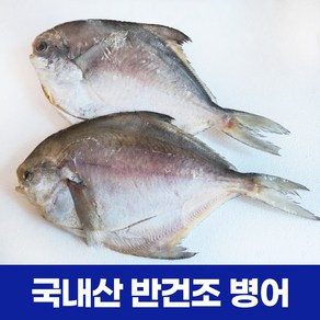 국내산 반건조 병어 300g내외 특대 손질병어 국산병어 제수용 제사, 3개