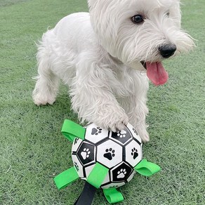 도매창고 애견 강아지 축구공 장난감 줄 끈달린공 물놀이 터그 놀이 노즈워크 스크랩볼 바운스 점볼 농구 공던지기 대형견 중형견 소형견 15cm 18cm, 애견-축구공-15cm, 1개