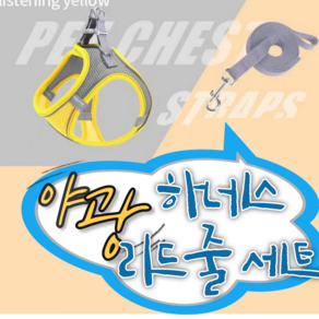 굿라이프랩 반려견 반려묘 하네스+리드줄포함 빛반사 메쉬 가슴줄, 1개, 옐로우