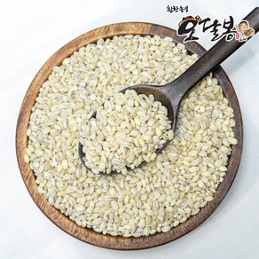 힘찬농부 국산 늘보리 늘보리쌀, 1개, 10kg