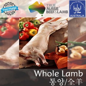 양고기 통양 양한마리 (호주산 할랄 평균중량 19Kg) / Whole Lamb (Austalian Halal Lamb) / 캠핑용 구이용, 1개, 1마리