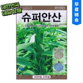 가지깨 슈퍼 안산참깨 씨앗 (3000립) 참깨 씨 종자, 1개