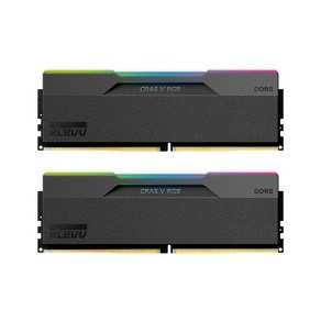 [에센코어] KLEVV DDR5 PC5-51200 CL32 CRAS V RGB 서린 [64GB (32GB*2)] (6400), 선택하세요, 2개