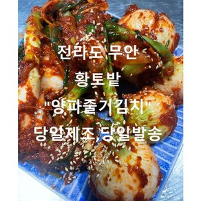 전라도 김치.당일 생제조당일 발송 (양파줄기김치) 1kg 2kg 3kg 5kg, 양파줄기김치1kg, 1개