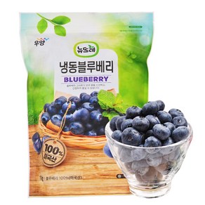 뉴뜨레 냉동블루베리 1kg 무가당, 1개