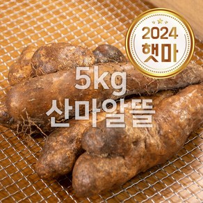 태산농장 안동 태산농장 산마 산약 참마, 1박스, 5kg (l.산마알뜰)