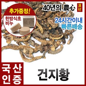 자애인 국산 건지황 600g 지황 건조 지황뿌리 경북안동