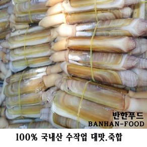 반한푸드 국내 서해안산 자연산 죽합(대맛) 250g