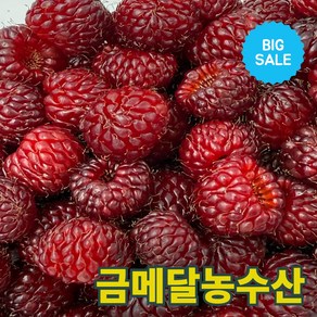 금메달농수산 자체선별 프리미엄 국내산 생산딸기, 2개, 250g