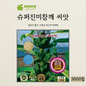 KS종묘 슈퍼 진미 참깨 씨앗 3000립, 1개