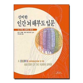 신비한인간 뇌 해부도 입문, 학지사, 존 P.핀엘 등저/조신웅 역