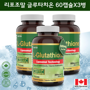 리포좀 글루타치온 600mg 60베지캡슐 리포조말 리포솜 glutathione, 3병/60캡슐, 3개, 60정