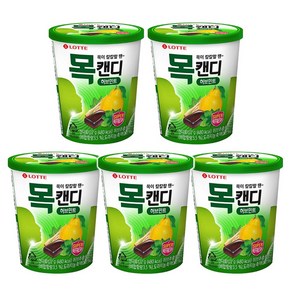 롯데제과 목캔디 허브민트, 122g, 5개