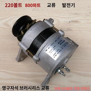 교류발전기 모터 영구자석 220v 800w 1300w 2000w 교류 고전력 가정용, 220볼트 800와트, 1개