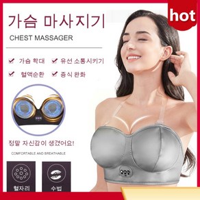 여성 가슴마사지기구 가슴 마사지기, 레드플러그&3단 마사지히터(1년 품질보증), 1개