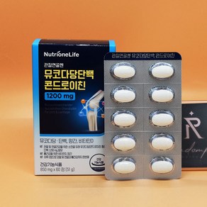 뉴트리원 관절연골엔 뮤코다당단백 콘드로이친 850mg x 60정