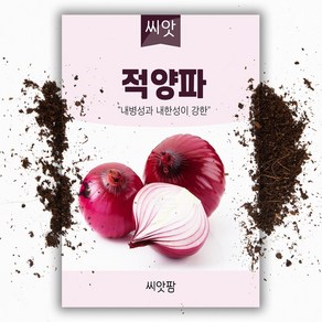 적 양파씨앗 (2.5g), 1개