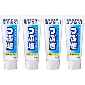 Kao Salt Toothpaste 일본 카오 쯔부시오 솔트 소금 불소 치약 180g 4팩