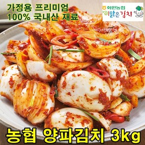 해남 화원농협 양파김치 3kg 이맑은김치, 1개