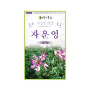 (DN) 자운영 씨앗(2g), 1개