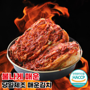 [행운김치] 당일제조 전라도 맛있게 매운김치 불김치, 1개, 5kg