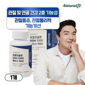 네추럴라이즈 관절연골엔 MSM 2000 플러스 NAG 90g