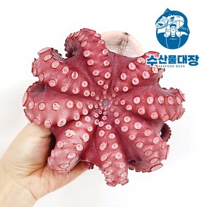 프리미엄급 자숙 통문어 300-1.3kg (소/중/특대) 손질문어 냉동문어 제수용 숙회