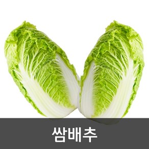 약수농장 국내산 알배기 쌈배추 8kg 내외 특품 12포기, 1개