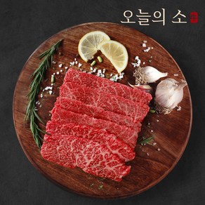 [오늘의소] 1등급 한우 살치살 300g, 1개