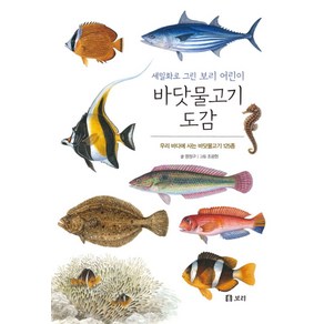 바닷물고기 도감:우리 바다에 사는 바닷물고기 125종