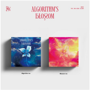 QWER (큐더블유이알) - 2nd Mini ALBUM [Algorithm's Blossom] - Blossom 버전