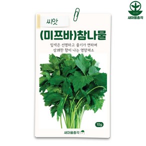 다농 참나물씨앗 10g 개량참나물 씨 종자, 1개