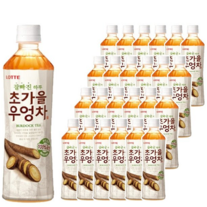 롯데칠성음료 잘빠진 하루 초가을 우엉차, 500ml, 20개