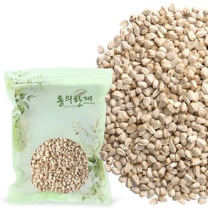 동의한재 국산 홍화씨, 300g, 1개