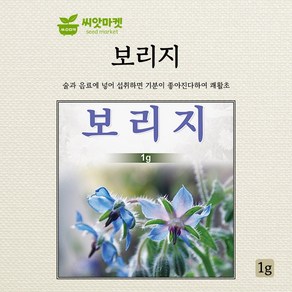 다농 보리지 씨앗 1g, 1개