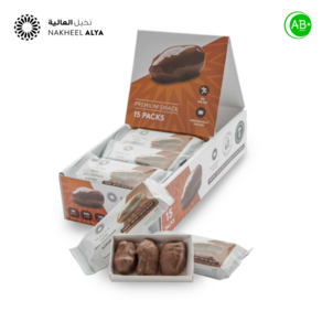 밀크 초콜릿 아몬드 데이트 사우디 간식 Milk Chocolate Almond Date Teats Madinah, 1개, 480g