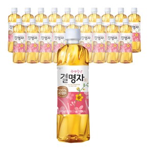 웅진 광명찾은 결명자차, 500ml, 20개