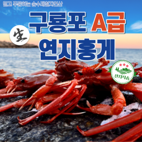 자연산 구룡포 꽉찬 A급 연지홍게 2kg 3kg 5kg 신선한 산지직송 당일조업, A급 꽉찬 홍게 2kg (5~7마리), 1개