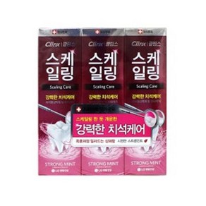 샤인빈 스케일링케어 스트롱 민트치약(100g/3개입) chi*328sm, 100g, 3개