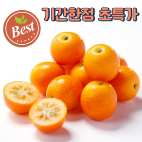 [역대급새콤함] 제주 금귤 낑깡, 1박스, 특 500g