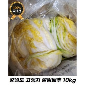 [배송일 설정 가능 / 빠른배송] 싱싱한 국내산 김장용 절임배추 10kg / 20kg, 1개