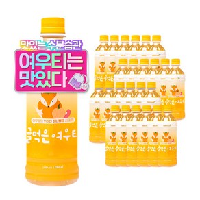 티트리트 귤먹은 여우티 페트, 24개, 500ml