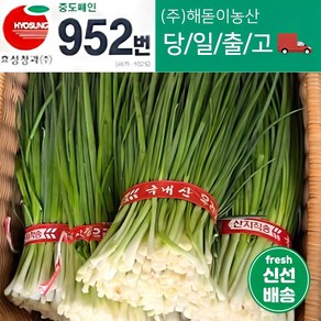 해돋이농산 깐쪽파 1단 2단 3단 5단 10단