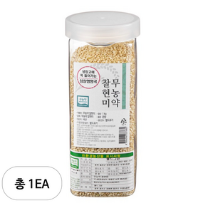 월그그린 싱싱영양통 무농약 찰현미, 1kg, 1개