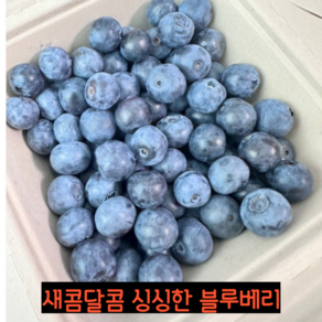 산지직송 2024년 국산 무농약 생블루베리 생과 250g 500g 1kg 잼 쥬스용 햇블루베리 블루베리 생과 냉동블루베리 건블루베리 말린블루베리, 1개