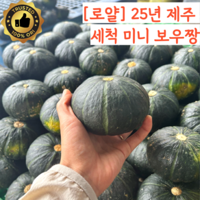 [품질보장] 25년 국내산 제주 햇 미니 단호박 밤호박 밤단호박 보우짱 세척, 1개, 못난이 단호박 3kg