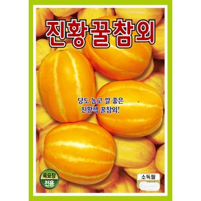 진황꿀참외 참외씨앗 50립, 1개